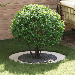 odpowiedni dla płaskich pierścieni drzewa 5 pcs Biały Ø60 / 90 cm