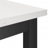 Ławka jadalniana 2 pcs Biały 100 x 32,5 x 49 cm