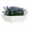 Doniczka ogrodowa 5 pcs Biały 50 x 50 x 15 cm Stal zimnogięta