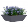 Doniczka ogrodowa 5 pcs Antracyt 50 x 50 x 15 cm