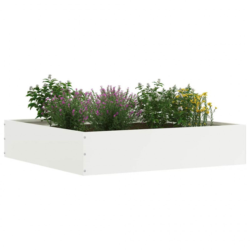 Krawężnik do trawnika Biały 60 x 60 x 13 cm Stal