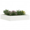 Krawężnik do trawnika Biały 60 x 60 x 13 cm Stal