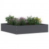 Krawężnik do trawnika 6 pcs Antracyt 60 x 60 x 13 cm Stal
