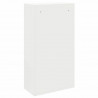 Skrzynka na przesyłki z drzwiami Biały 44 x 22 x 82 cm Stal