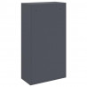 Skrzynka na przesyłki z drzwiami Antracyt 44 x 22 x 82 cm Stal