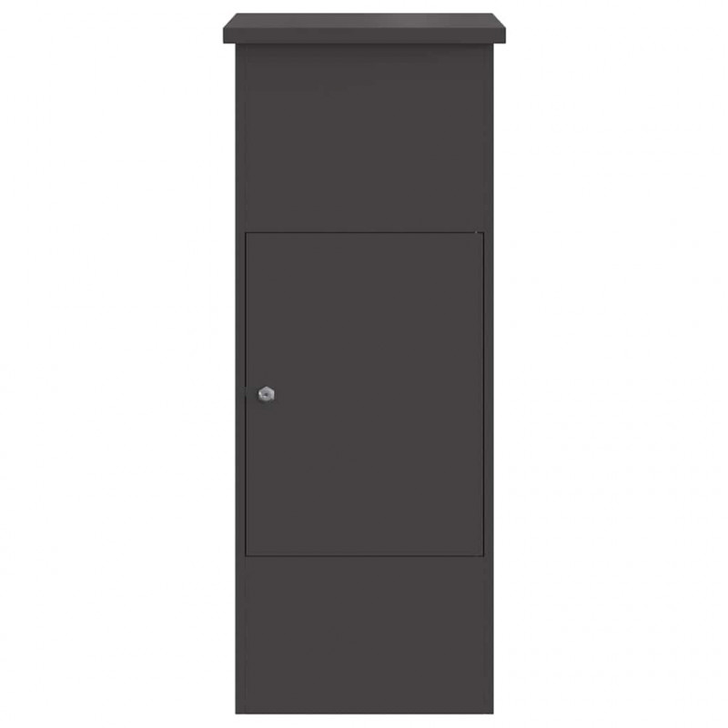 Skrzynka na przesyłki Czarny 44,5 x 29 x 110,5 cm Stal