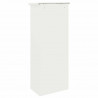 Skrzynka na przesyłki Z blokadą Biały 44,5 x 29 x 110,5 cm Stal