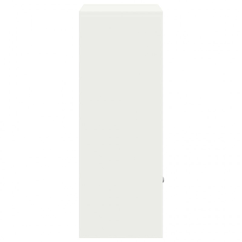 Skrzynka na przesyłki z drzwiami Biały 41 x 38 x 103 cm Stal