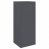 Skrzynka na przesyłki z drzwiami Antracyt 41 x 38 x 103 cm Stal