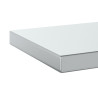 Półki ścienne, 2 szt., 100x23,5x3 cm, srebrna stal nierdzewna
