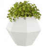 Donica 2 pcs Biały 75 x 75 x 60 cm Stal