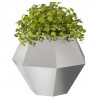 Donica 2 pcs Srebrny 75 x 75 x 60 cm Stal nierdzewna