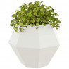 Donica 2 pcs Biały 50 x 50 x 40 cm Stal