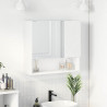 Szafka z lustrem Biały 59 x 17 x 55 cm Materiał drewnopochodny