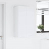 Szafka wisząca Biały 60 x 31 x 100 cm Materiał drewnopochodny