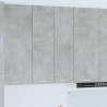 Szafka wisząca z drzwiami Betonowy szary 60 x 31 x 100 cm
