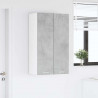Szafka wisząca z drzwiami Betonowy szary 60 x 31 x 100 cm