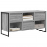 Szafka pod telewizor z szufladą Szary Sonoma 100 x 36 x 49,5 cm
