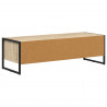 Szafka pod telewizor Sonoma 100 x 36.5 x 30.5 cm