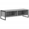 Szafka pod telewizor Szary Sonoma 100 x 36.5 x 30.5 cm
