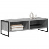 Szafka pod telewizor Szary Sonoma 100 x 36.5 x 30.5 cm