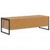 Szafka pod telewizor Dąb rzemieślniczy 100 x 36.5 x 30.5 cm