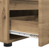 Szafka pod telewizor Dąb rzemieślniczy 100 x 48 x 43 cm