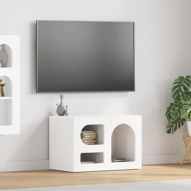 Szafka pod telewizor Biały 60 x 35 x 40 cm