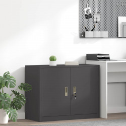 Szafka do przechowywania Czarny 90 x 40 x 70 cm Stal