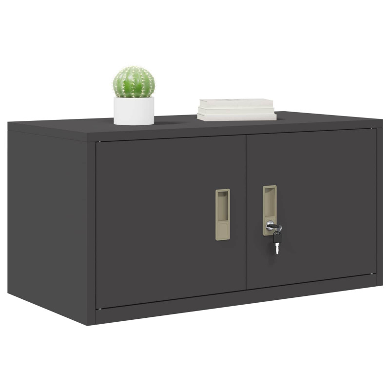 Szafka do przechowywania Czarny 80 x 40 x 40 cm Stal
