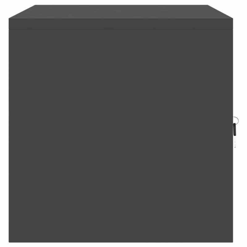 Szafka do przechowywania Czarny 80 x 40 x 40 cm Stal