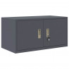 Szafka do przechowywania Antracyt 80 x 40 x 40 cm Stal