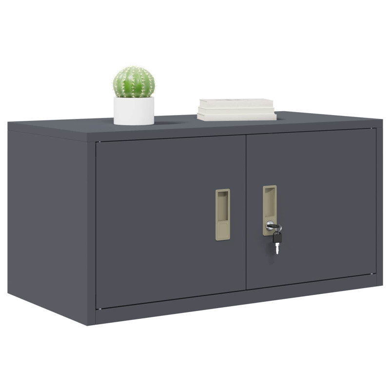 Szafka do przechowywania Antracyt 80 x 40 x 40 cm Stal