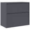 Szafka do przechowywania Antracyt 80 x 40 x 70 cm Stal