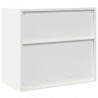 Szafka do przechowywania Biały 80 x 40 x 70 cm Stal
