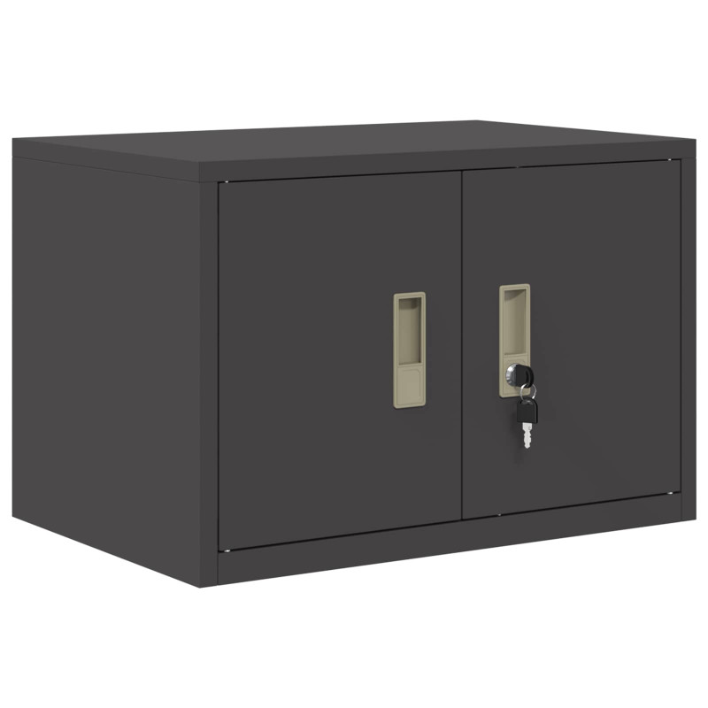Szafka do przechowywania Czarny 60 x 40 x 40 cm Stal