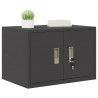 Szafka do przechowywania Czarny 60 x 40 x 40 cm Stal