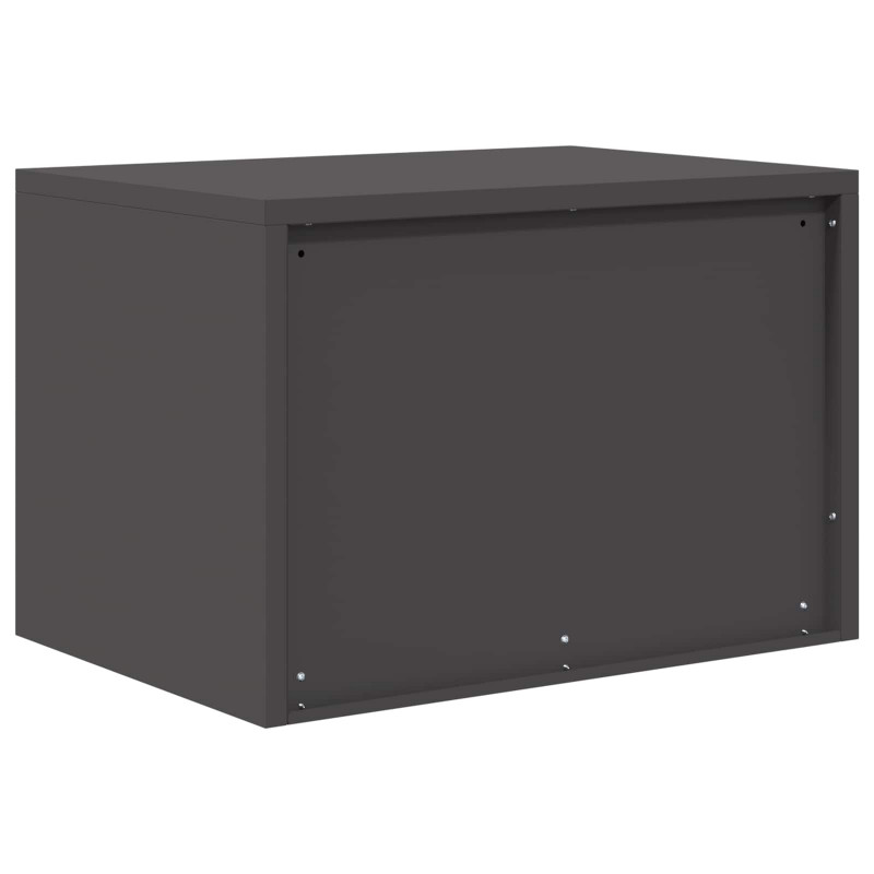 Szafka do przechowywania Czarny 60 x 40 x 40 cm Stal