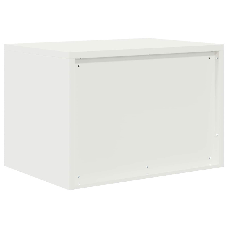 Szafka do przechowywania Biały 60 x 40 x 40 cm Stal