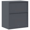 Szafka do przechowywania Antracyt 60 x 40 x 70 cm Stal