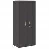 Szafka do przechowywania Czarny 60 x 40 x 140 cm Stal