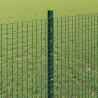 Ogrodzenie z słupkiem zielony