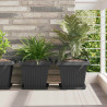 Kwadratowa Taca na Kwiaty 6 pcs Czarny 25,5 x 25,5 x 2,5 cm