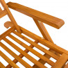 Leżak z funkcją pochylania i składania 2 pcs 55 x 146 x 91 cm