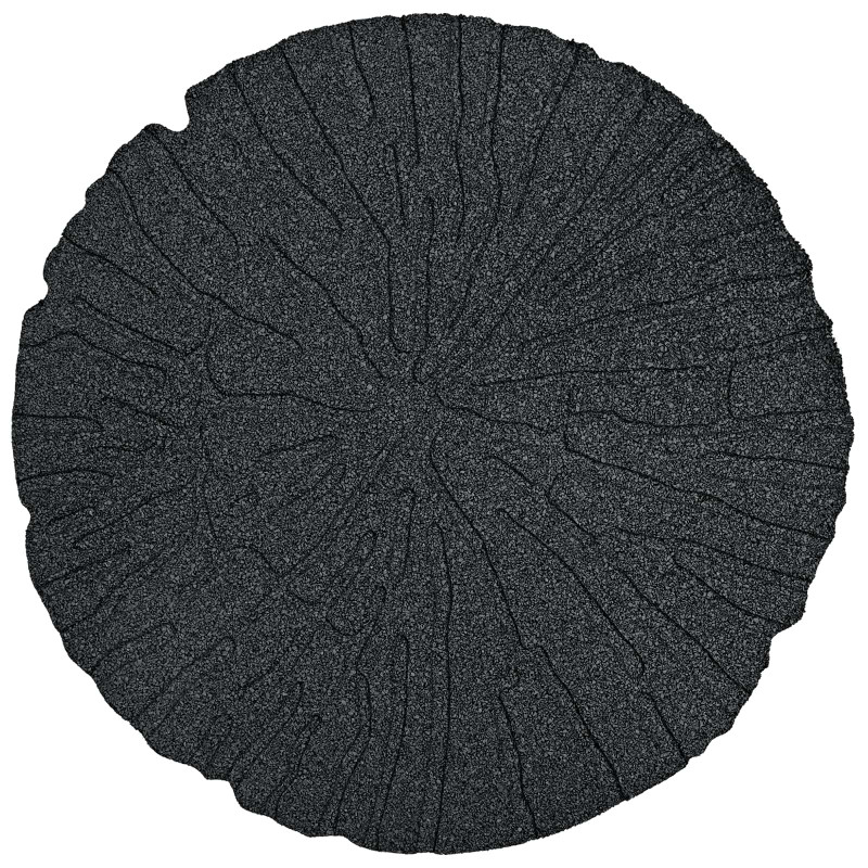 Kamień kroczący 6 pcs Czarny Ø 45 x 1,8 cm Guma