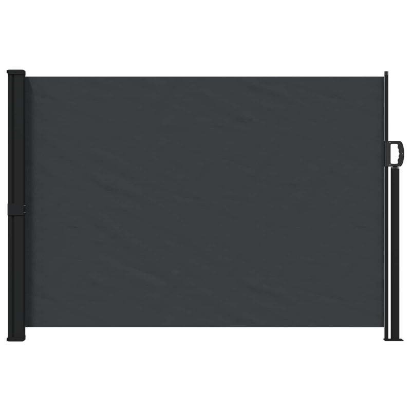 Rozkładany boczny markiz Czarny 300 x 170 cm Poliester