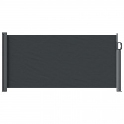 Rozkładany boczny markiz Czarny 300 x 100 cm Poliester