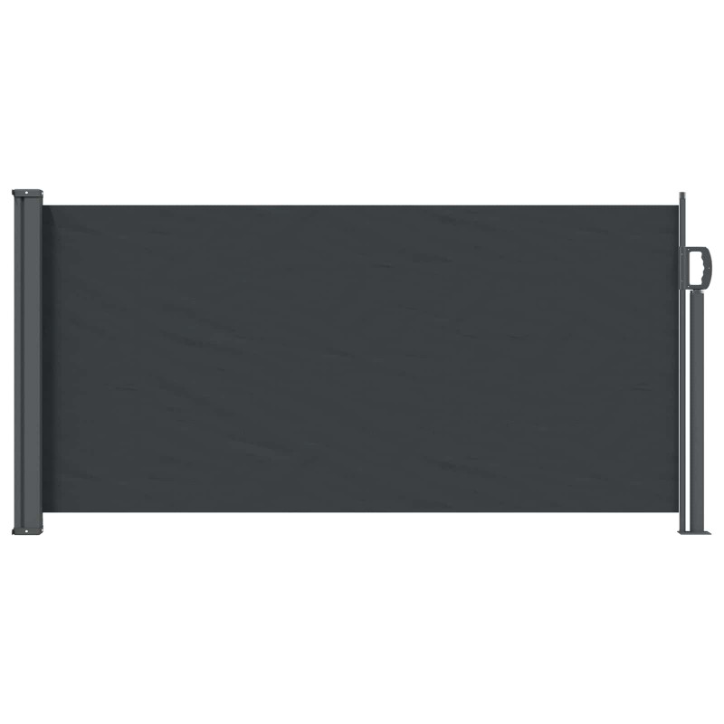 Rozkładany boczny markiz Czarny 300 x 100 cm Poliester