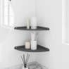 Półka wisząca z półką 2 pcs Antracyt 30 x 30 x 2 cm