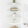 Półka wisząca z półką 4 pcs Biały 30 x 30 x 2 cm